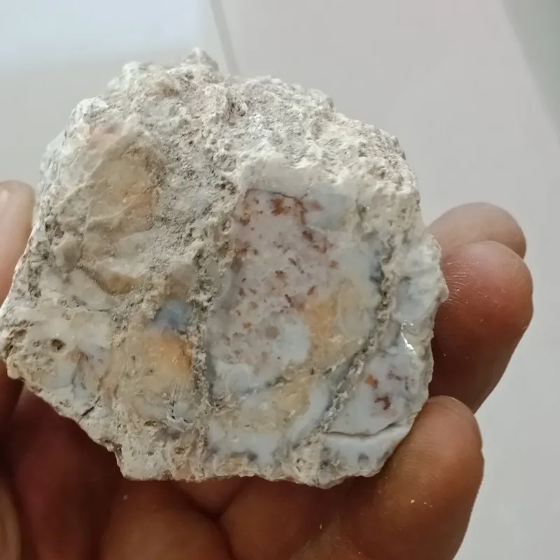 DHXYZB 1 кг натуральная окаменелая древесина окаменелый оригинальный камень сырой