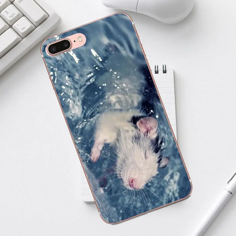 Qdoupz граффити крыса носить очки Ist Banksy для iPhone 4 4S 5 5C SE 6 6S 7 8 Plus X XS Max XR Galaxy A3 A5 J1 J3 J5 J7