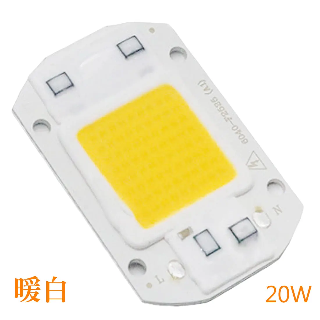 20W 30W 50W 220V DIY Flood Light COB LED Diode Spotlight Smart IC High Power Matrix For Projectors Outdoor Chip Lamp | Лампы и