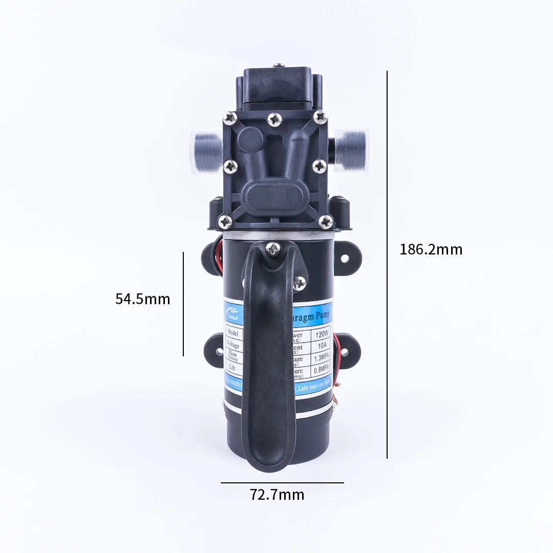 12V 24V 120W 130PSI 10L/мин Тип электрическая водяная пленка высокого Давление самовсасывающий насос для сада обратный клапан