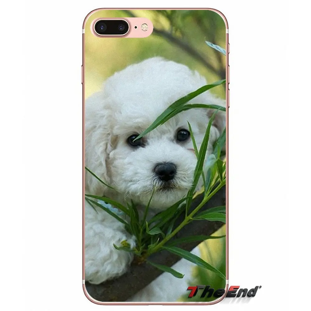 Мягкие прозрачные чехлы для Samsung Galaxy S3 S4 S5 MINI S6 S7 edge S8 S9 Plus Note 2 3 4 5 8 Bichon frise dog puppy |