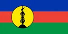 90*150 см Флаг для украшения во французском регионе Новая Каледония
