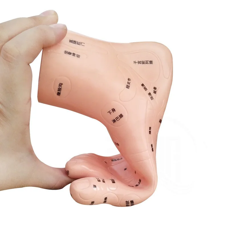 1 пара акупунктурная модель для массажа ног из мягкого ПВХ 19 см | Канцтовары офиса