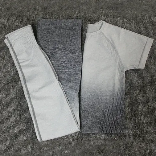 Gray White Set 2 шт. Ombre Energy бесшовный Женский спортивный костюм, одежда для спортзала и тренировок, короткий рукав, топ для фитнеса и резинка для волос, леггинсы, комплект для йоги - Цвет: Gray White Set