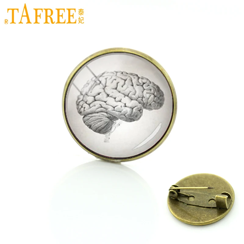 TAFREE Анатомия искусстве человеческий мозг сердце тело Анатомия pin анатомический мозг брошь аксессуары Винтаж Мужчины Женщины Ювелирные изделия T236