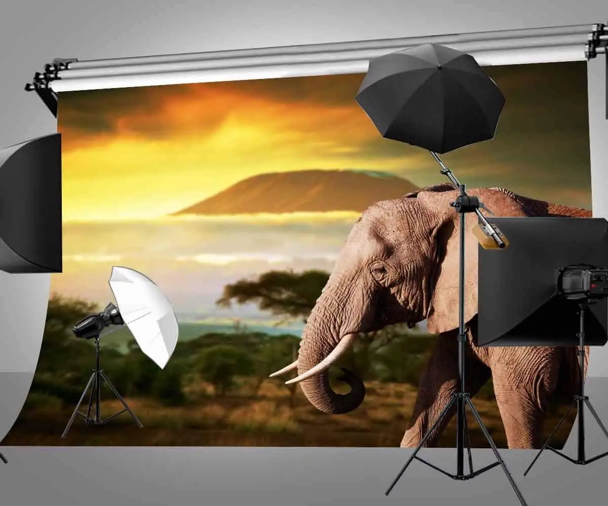 Dusk Grassland Background Old Elephant Natural Scenery Children Photo Studio Backdrop 150x220cm Photography Backdrops Wall | Электроника