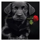 Алмазная вышивка с изображением черной собаки, розовая роза, лабрадор