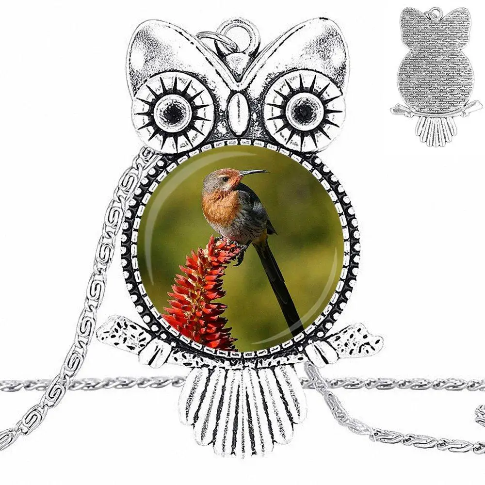 Ей глазурь для женщин и девушек конговский Африканский красный хвост серый