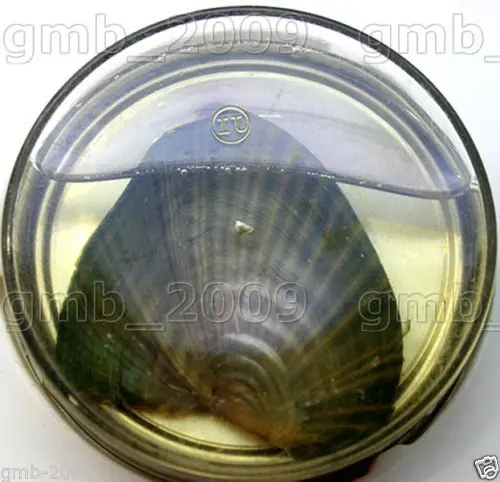 Китайская коробочка с узлом подарок сделай сам жемчужное ожерелье подвеской Oyster