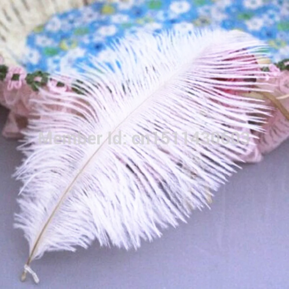 

100pcs/lot white Ostrich Feathers 15-20 cm/6-8' Inch ostrich plumes