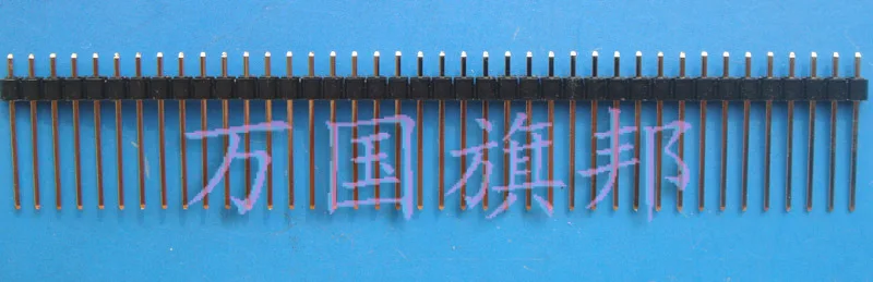 10 шт. 19 мм долго один вывод 40 контактный прямо ноги 2.54 мм|pins china|pin bugpin braids |