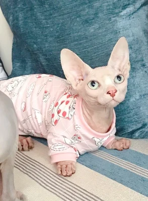 Два стиля голая кошка Сфинкс одежда для домашних животных, котов хлопок и мохер милый плотный свитер Весна и осень