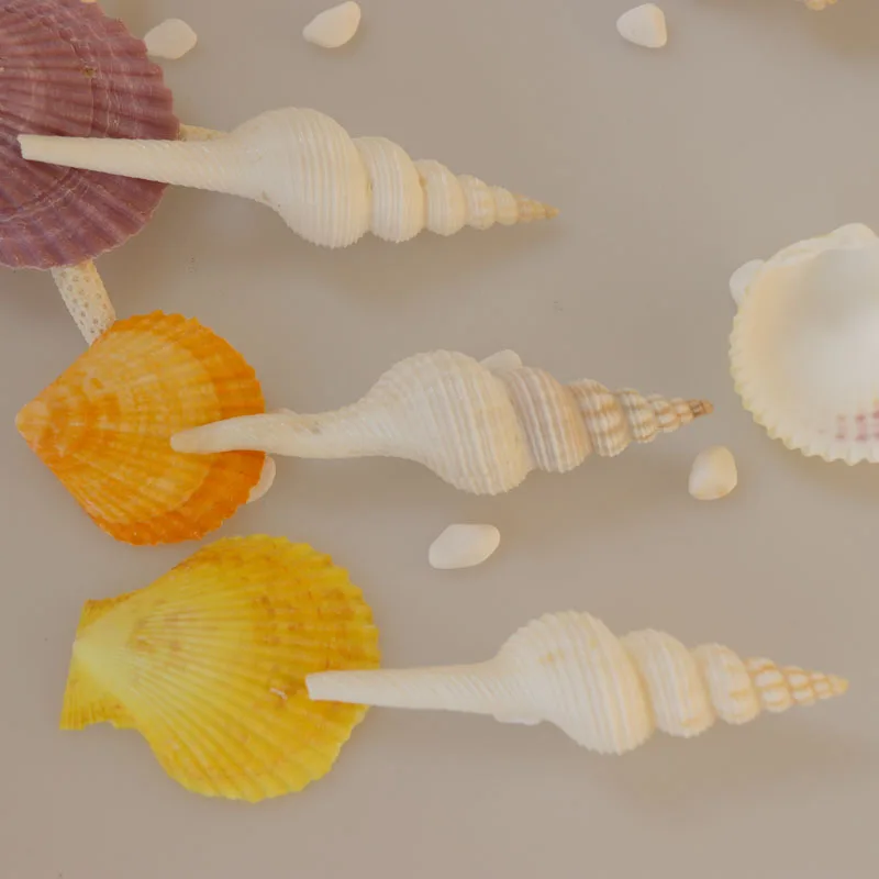 Бесплатная доставка (5 шт./лот) Шпиндель сасбери натуральная оболочка и ракушка