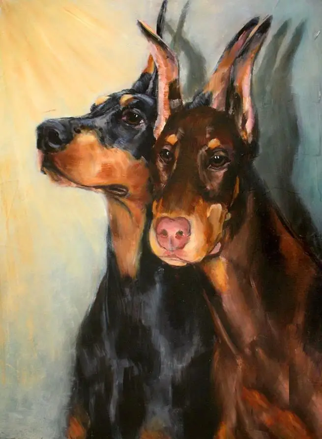 5 5D алмазная вышивка крестиком, Doberman Pinscher, DIY Алмазная вышивка, полная квадратная 3D Алмазная мозаика, стразы, Новое поступление - Цвет: 5