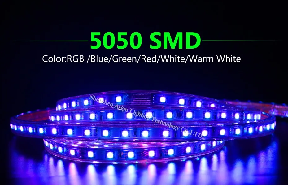 Водонепроницаемый ac220в Светодиодная лента 5050 SMD 60 светодиодный s/m светодиодный светильник садовый наружный декоративный светильник+ штепсельная вилка европейского стандарта Светодиодная лента светильник