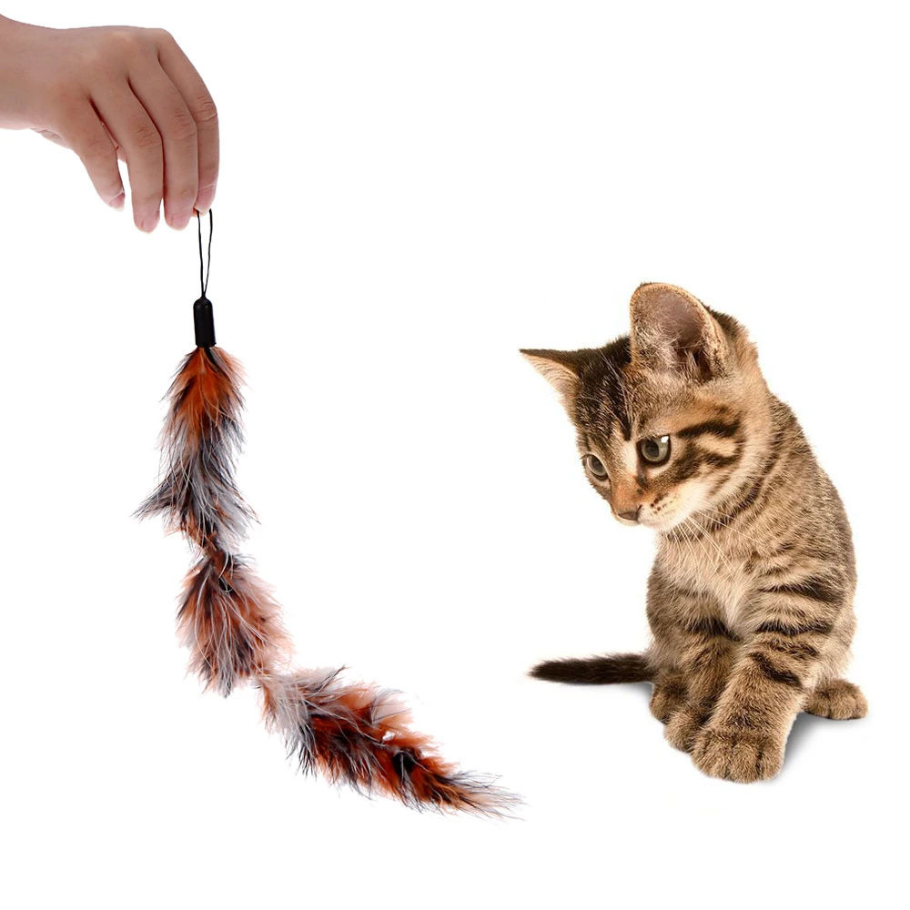 Роскошный раздвижной набор из 2 предметов для домашних животных котят кошка