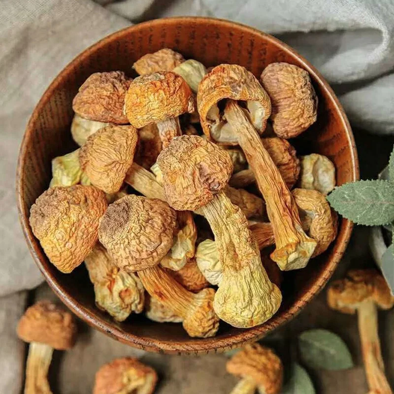 250 г/500 г грибы Agaricus Blazei сухая еда обезвоженная|Блестки для тела| |