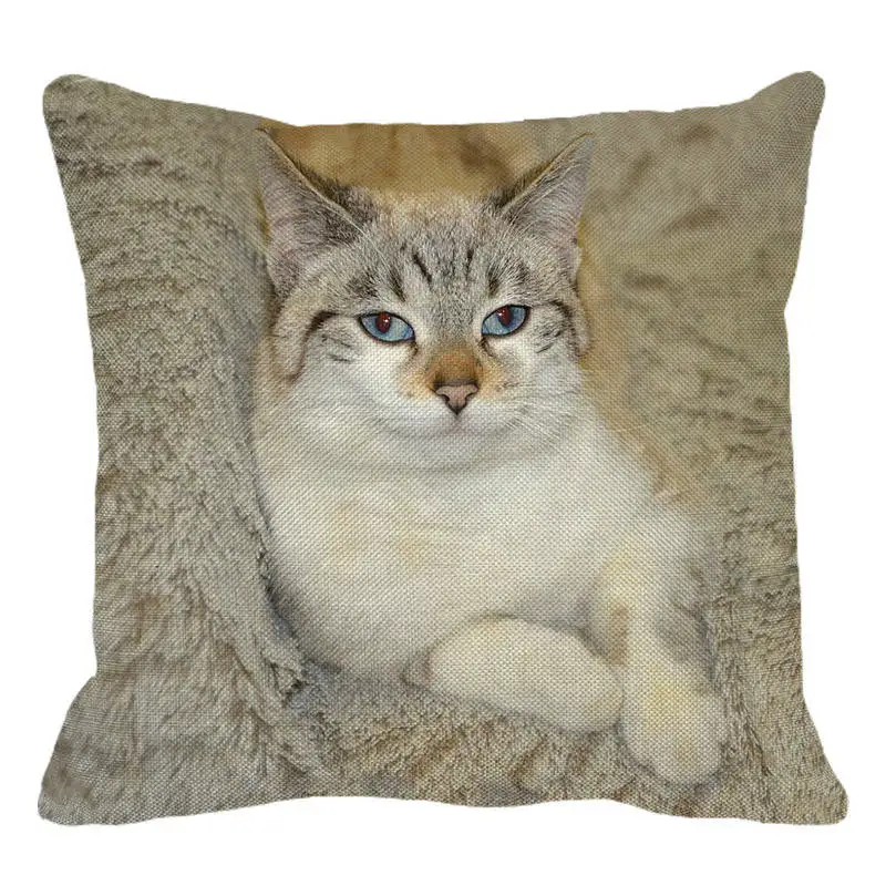 XUNYU чехол для подушки милый домашний животный красивый Британский короткий