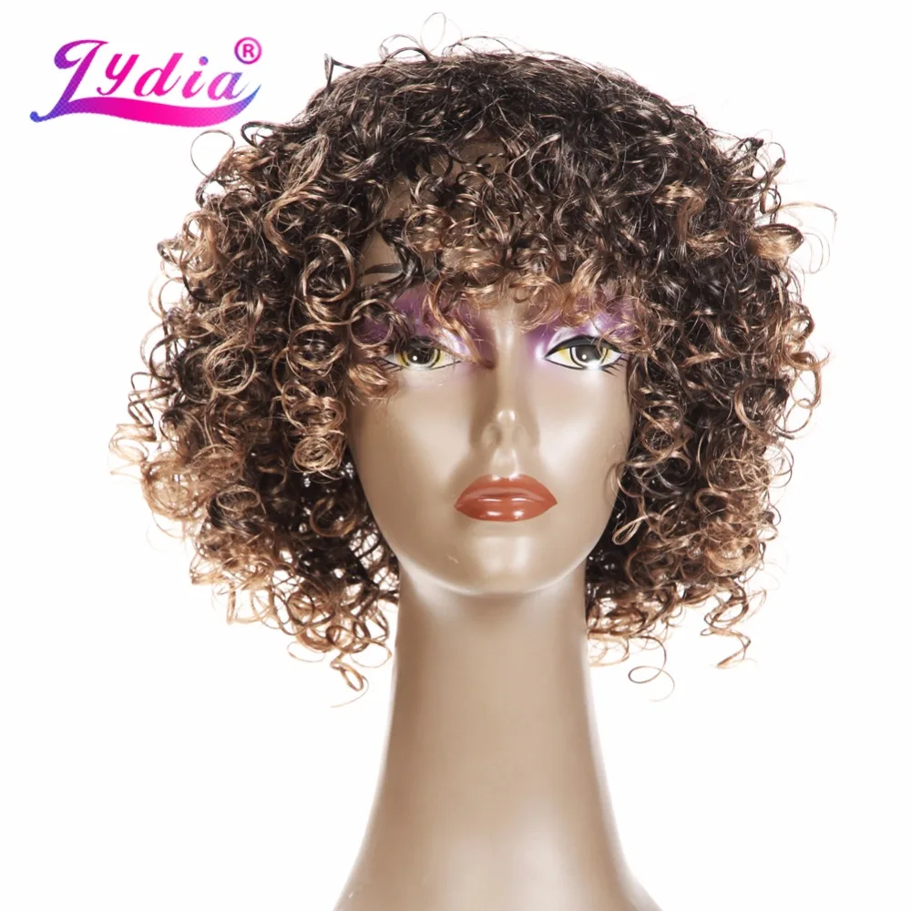 Lydia Afro Curly Synthetic Wigs Short Kanekalon Heat Resistant Wig For African American Women Natural Black & Mix Color