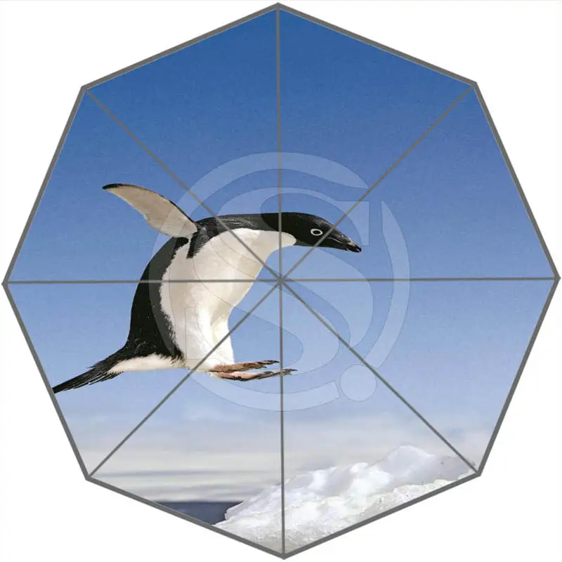 Hot Sale Cool Cute penguins Adults Universal Design Fashion Foldable Sun and Rain Umbrella Free Shipping SQ0602-P98 | Дом и сад