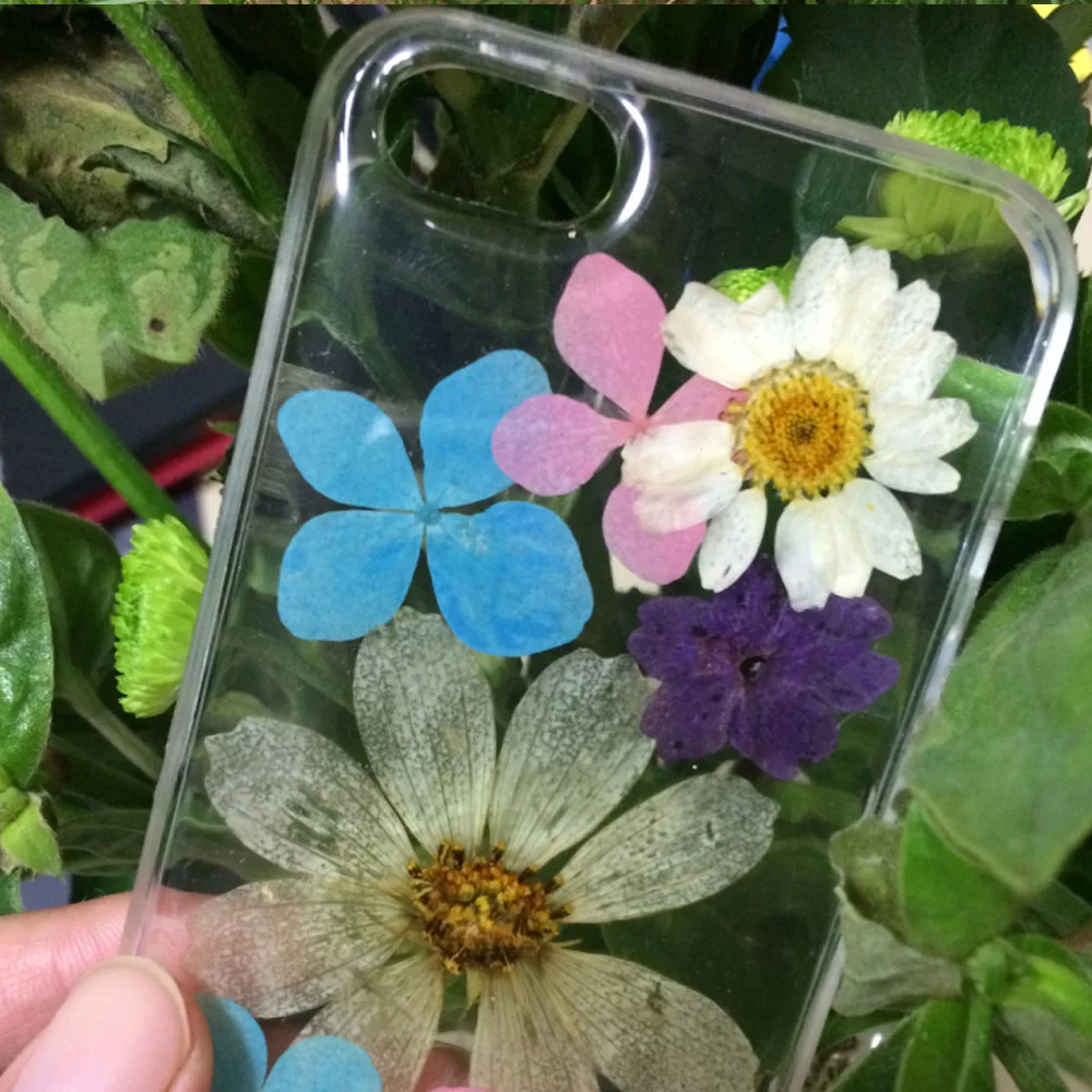 Clear Flower Cases For iPhone X Fashion Real Dried Lovley Floral Back Cover 8 Plus 6 7 Fundas |