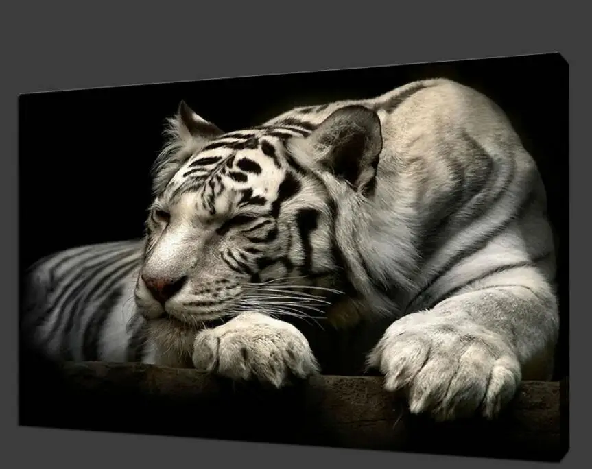 2017 Ограниченная серия Современный Прямоугольник один без рамки спрей картина