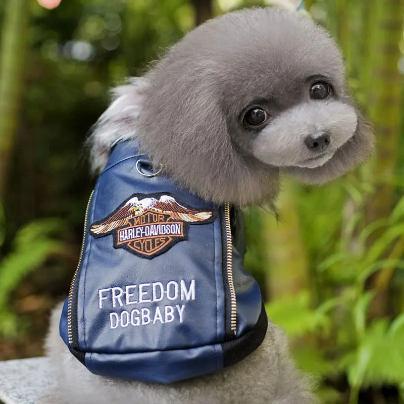 Однотонные красные синие теплые осень/зима прекрасный письмо щенок куртка