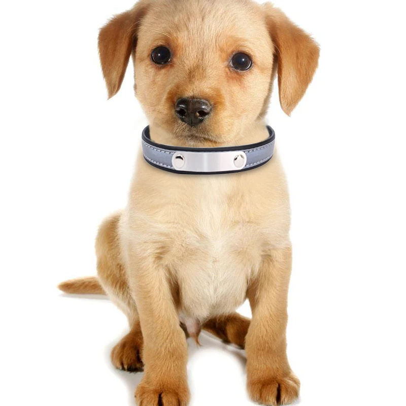 Индивидуальные Ошейники для собак для Dog Tag ошейники на заказ с Щенок Кот Персонализированная табличка с именем ID Ошейники для собак бирка с гравировкой имени Phone3