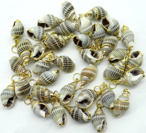 Natuurlijke mini Conch DIY Ambachten Levert Mediterrane Gem Shell Zeester ювелирное украшение кулон 24 шт F4 |