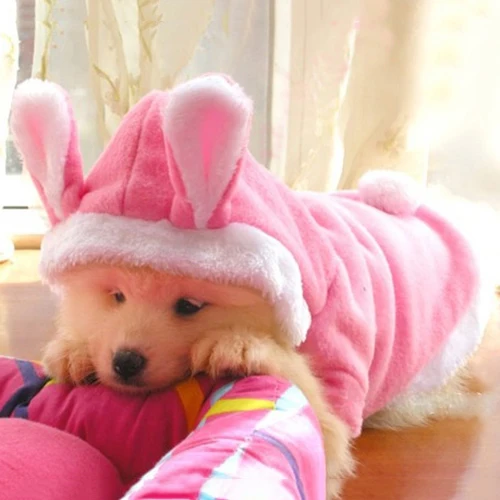 

2015 New Pet Dog Cat Cute Bunny Clothes Warm Clothes Autumn Winter Puppy Costumes Apparel Christmas Gift 6LK5