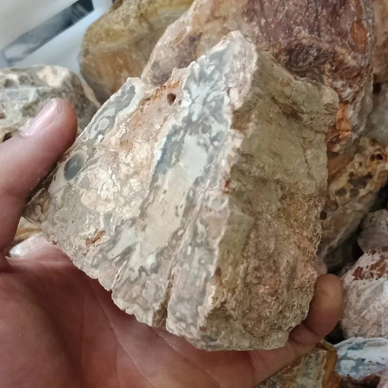 DHXYZB 1 кг натуральная окаменелая древесина окаменелый оригинальный камень сырой