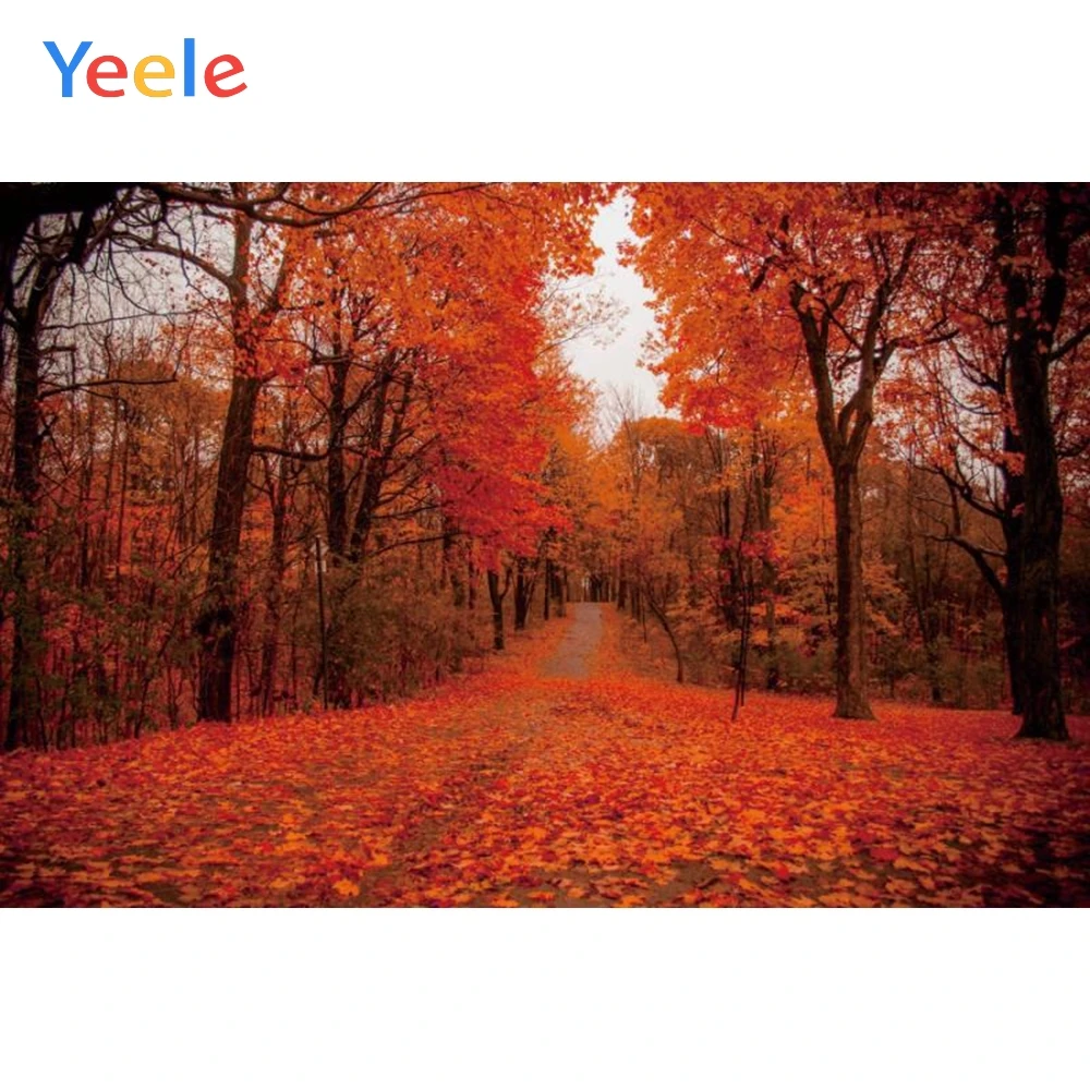 Yeele осенний лес кленовые листья природа портретная фотография Фон