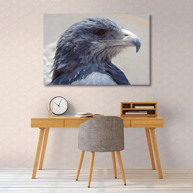 HD холст печать на стену Художественная головы орла постер для детской комнаты