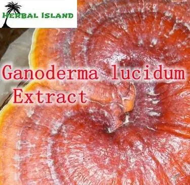 Details about Reishi Ganoderma lucidum extract polysaccharide&gt30% triterpene&gt2% 100g 3.5oz. | Продукты