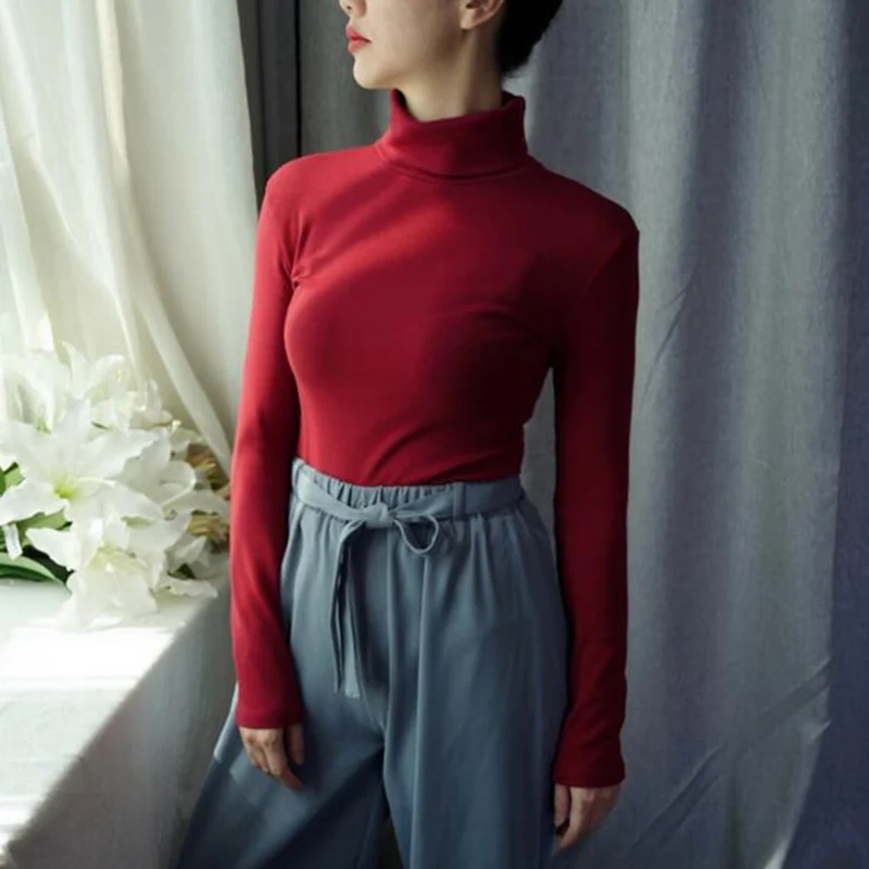 Winter Warm Pullover Sweaters Women Long Sleeve Turtleneck Jumpers Top Soft Cotton Tee Pull Femme | Женская одежда