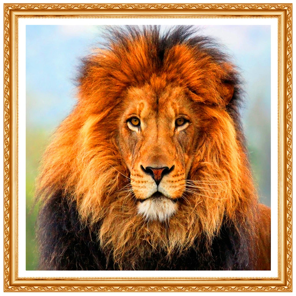 5D Diy diamond painting cross stitch s Full 100% cover embroidery animal lion home decor | Дом и сад