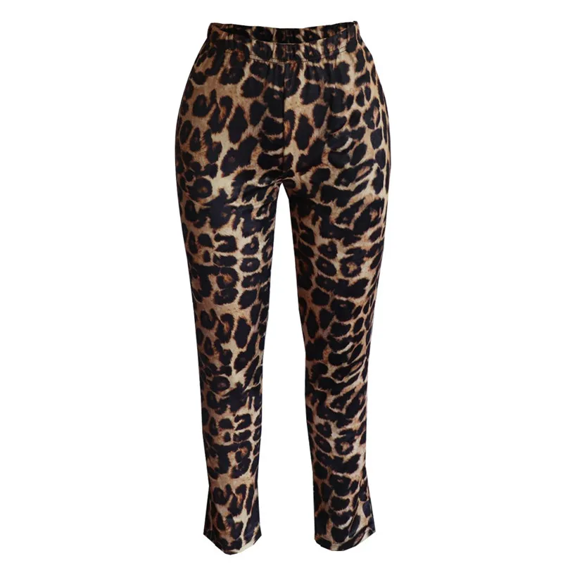 

Leopard print 2 Piece suit Long Sleeve X-Long Lace Up Cardigan And Pencil Pants