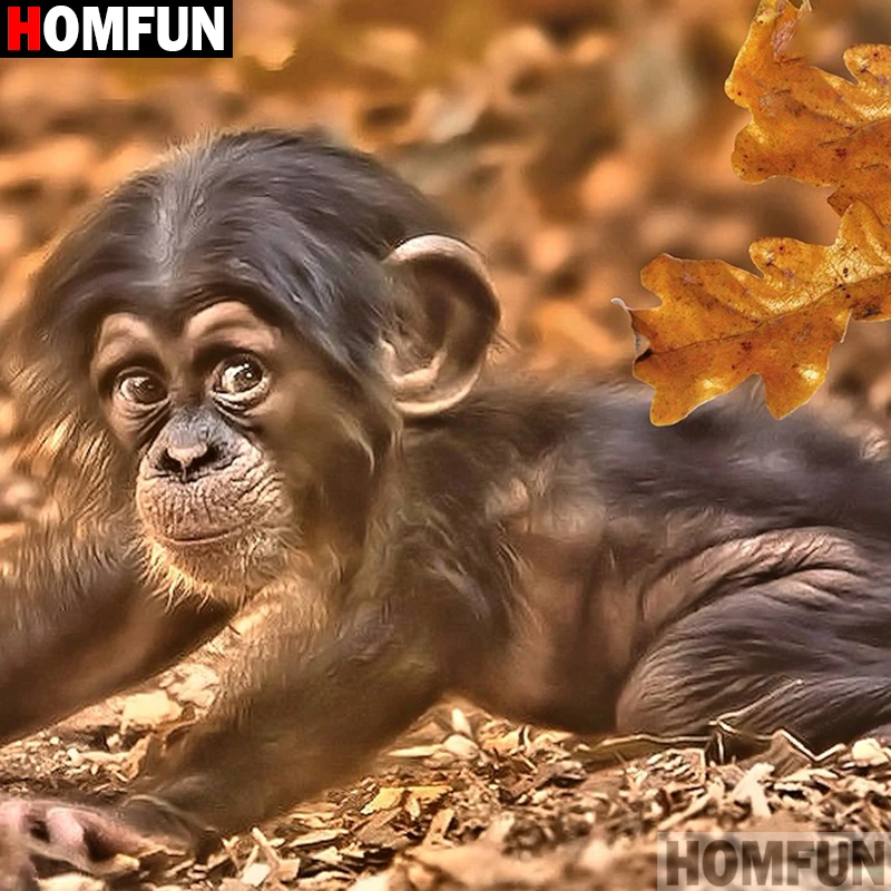 Алмазная живопись HOMFUN A16577 алмазная вышивка животные обезьяны полная выкладка