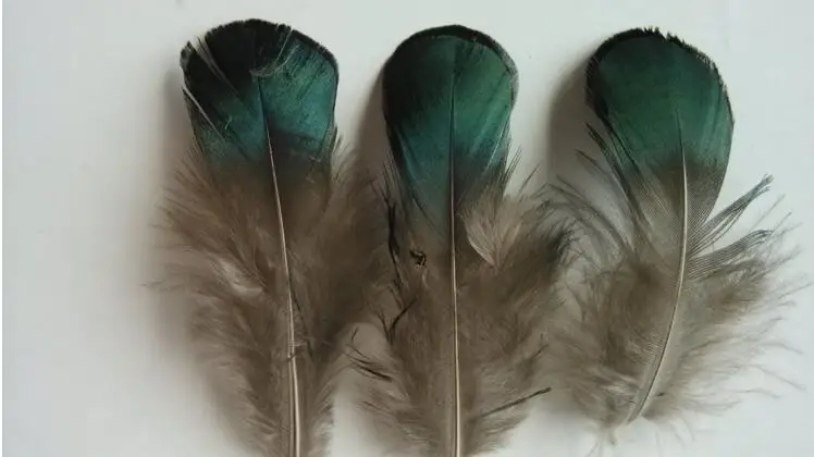 100 шт/Партия DIY peafowl натуральный Павлин Зеленые перья/ювелирные изделия волосы свадебное платье аксессуары павлиньи перья