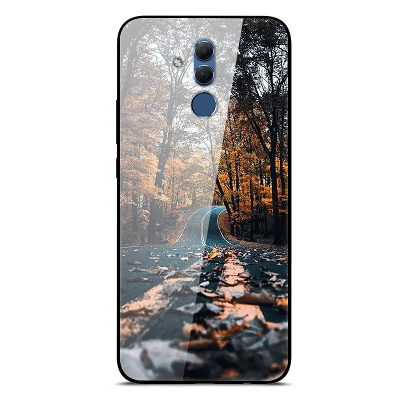 33 Чехол из закаленного стекла для huawei mate 20 Lite, чехол для huawei P30 Pro Lite mate 20 Lite, чехол - Цвет: 33
