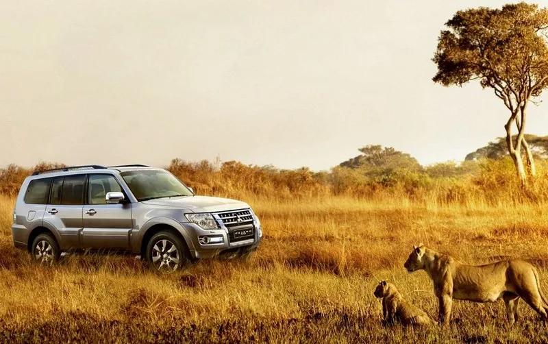 Задний грузовой Чехол для Mitsubishi Pajero V93 V97 2006- конфиденциальности багажник Экран безопасности щит козырек авто аксессуары