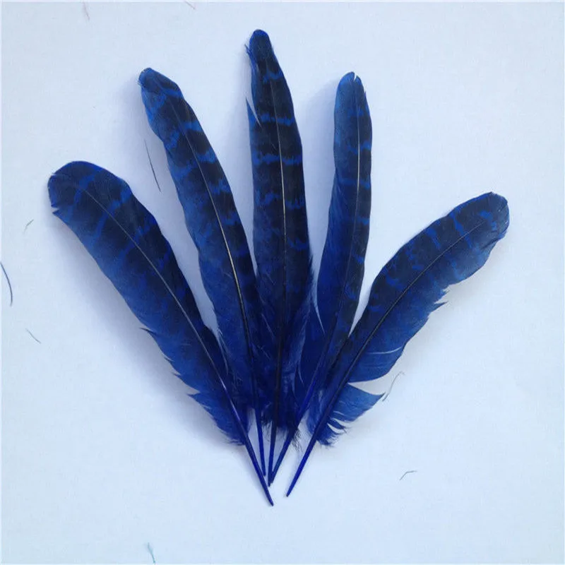Wholesale! beautiful 10pcs natural 10-15 cm/4-6inches pheasant feathers | Дом и сад