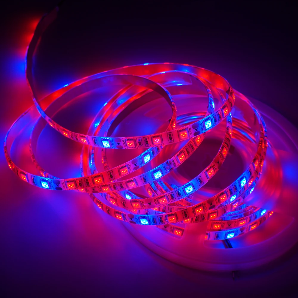5m/lot DC12V waterproof 60leds/m tape for Flower plant Aquarium Hydroponics 5050 SMD Red Blue 3:1 4:1 5:1 Growing grow led
