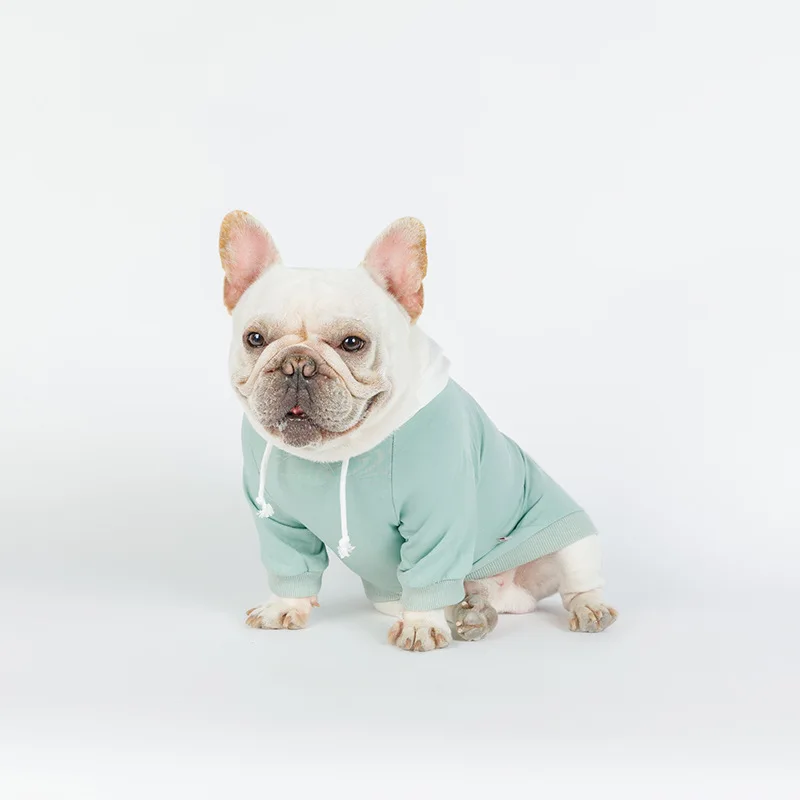 Медведь с нашивкой в виде надписи &quotФранцузский толстовки&quot Бульдог