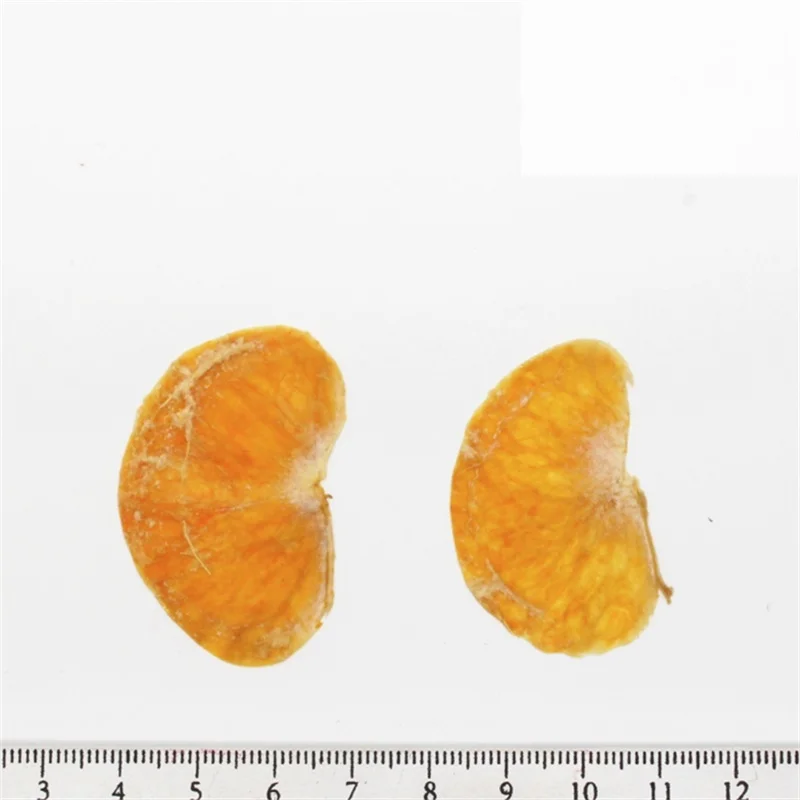 Orange petal CHUANGGE сушеные фрукты нарезанные DIY ручной работы свечи изготовления поставки оранжевый грейпфрут арбуз карамбола образцы воск украшения - Цвет: Orange petal