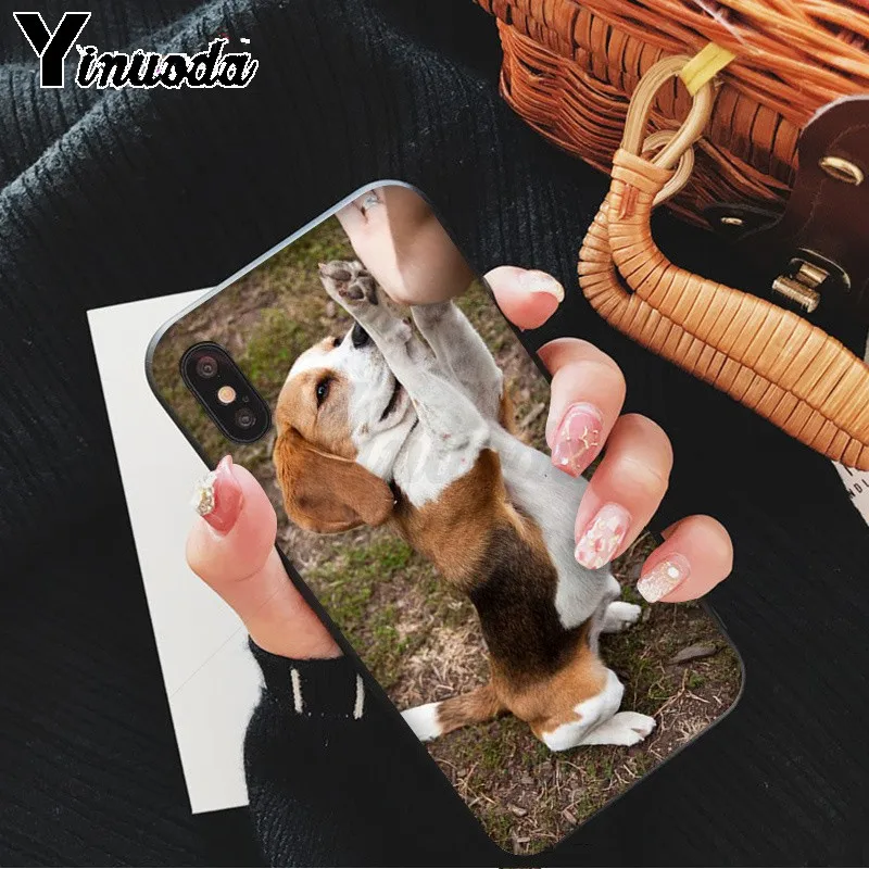Yinuoda все виды сообщений beagle шаблон ТПУ мягкий чехол для мобильного телефона Apple