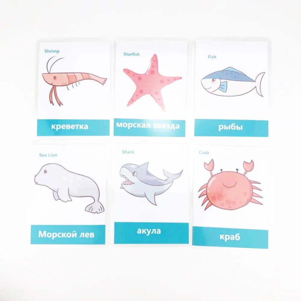 DDWE 13 шт. обучающие игрушки для детей с русским английским морским животным флеш