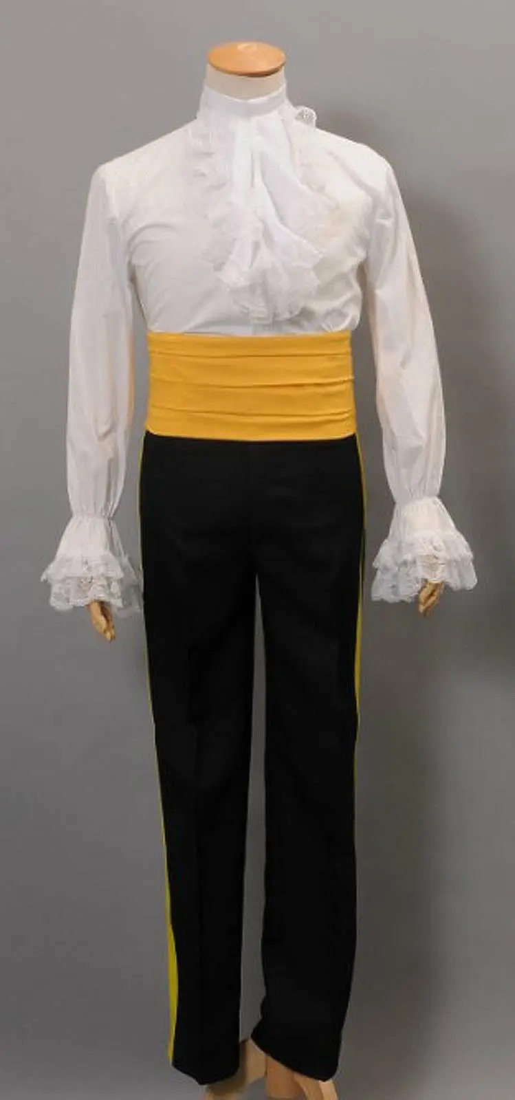 Beauty and the Beast Prince Adam Cosplay Costume Free Shipping | Costumes