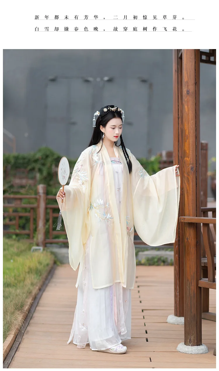 Hanfu Женский длинный рукав вышивка костюм Хана элемент династии Тан традиционный костюм Юбки феи платье принцессы для взрослых DN3508