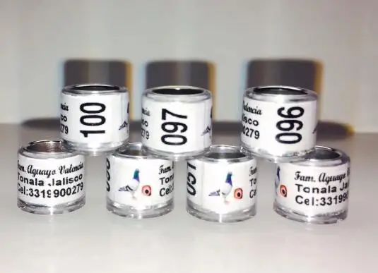 M 200 шт Бесплатная доставка 50 цветная буквенная цифра доступное кольцо для голубя